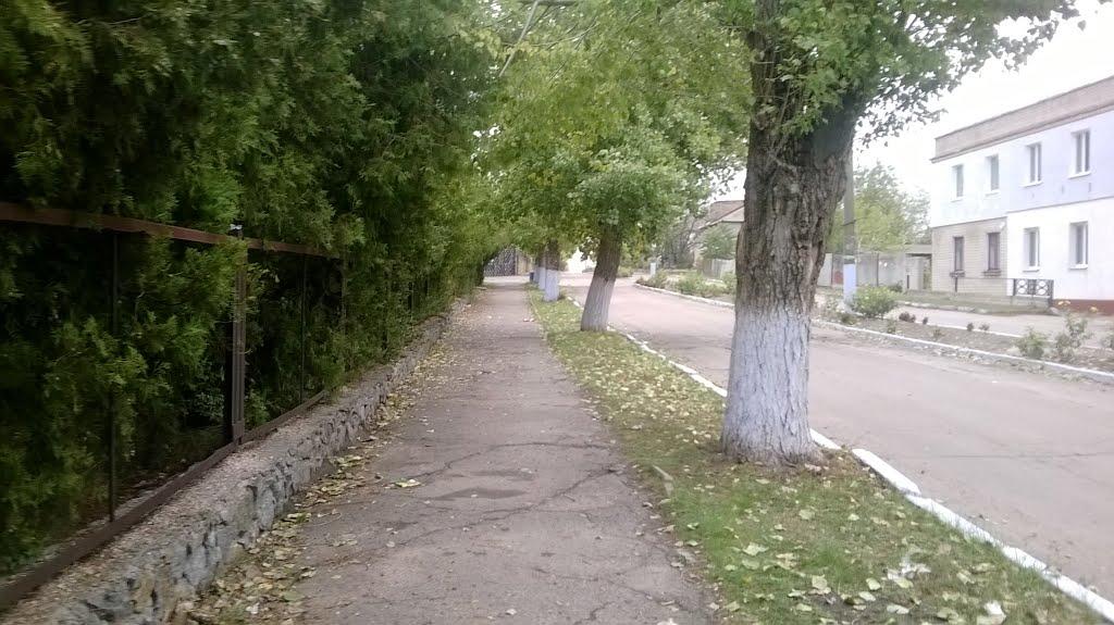 Горностаївка з panoramio.com - Горностаївка