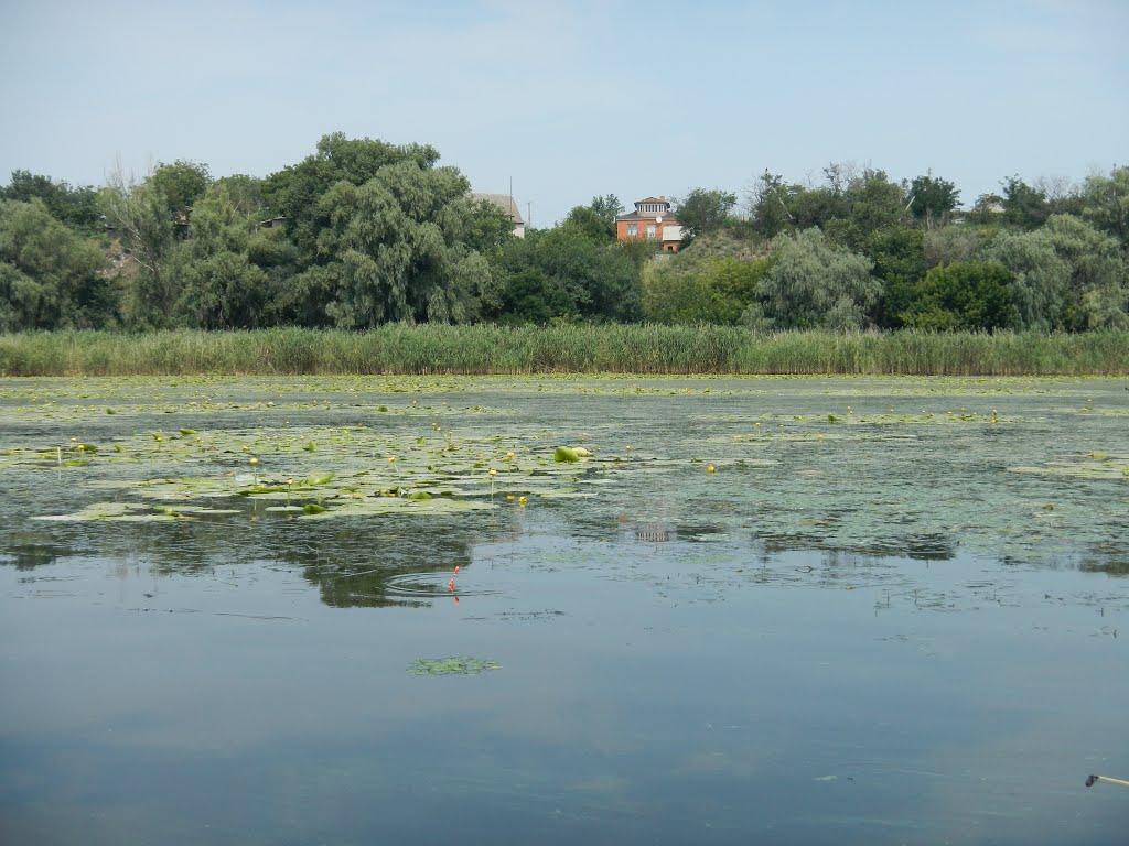 Лисогірка з panoramio.com - Lysogirka