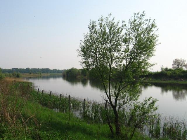 Соломоново з panoramio.com (ч.2) - Solomonovo
