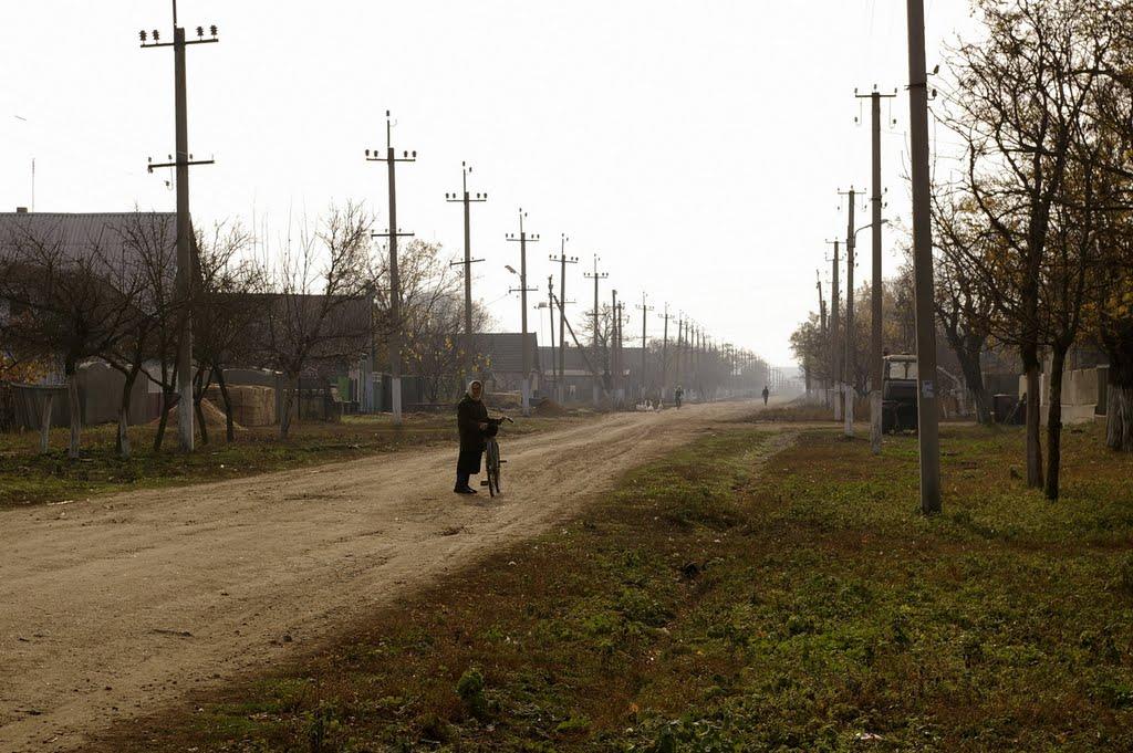 Карналіївка з panoramio.com - Карналіївка