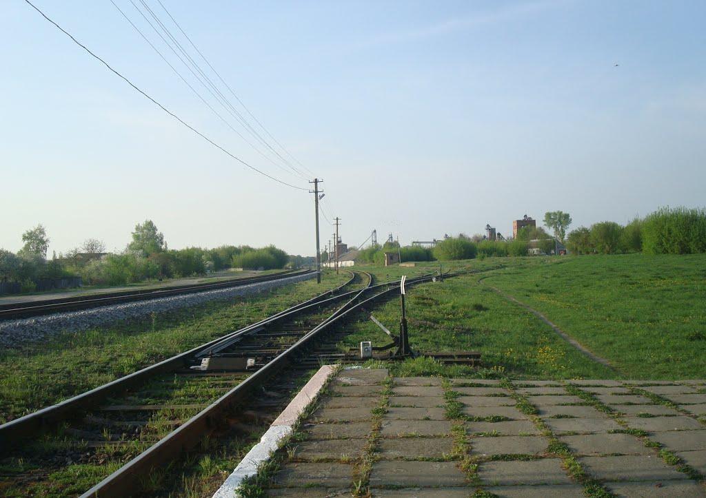 Чотирбоки з panoramio.com - Чотирбоки