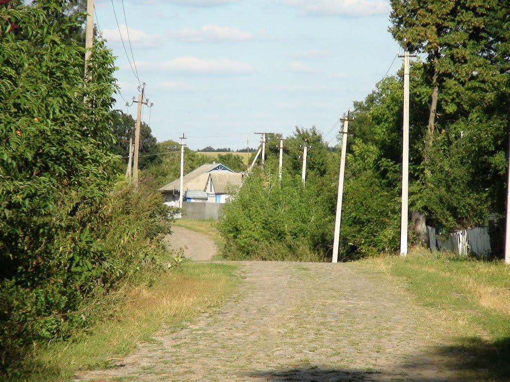 Люлинці з panoramio.com - Люлинцы