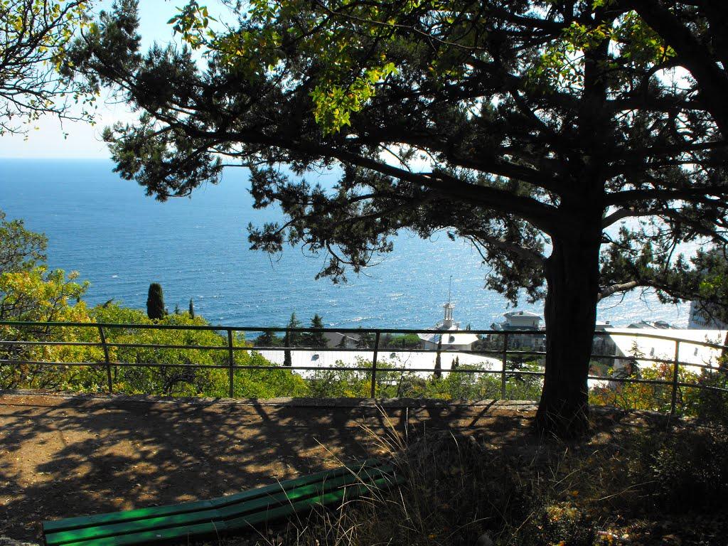 Курпати з panoramio.com - Курпати