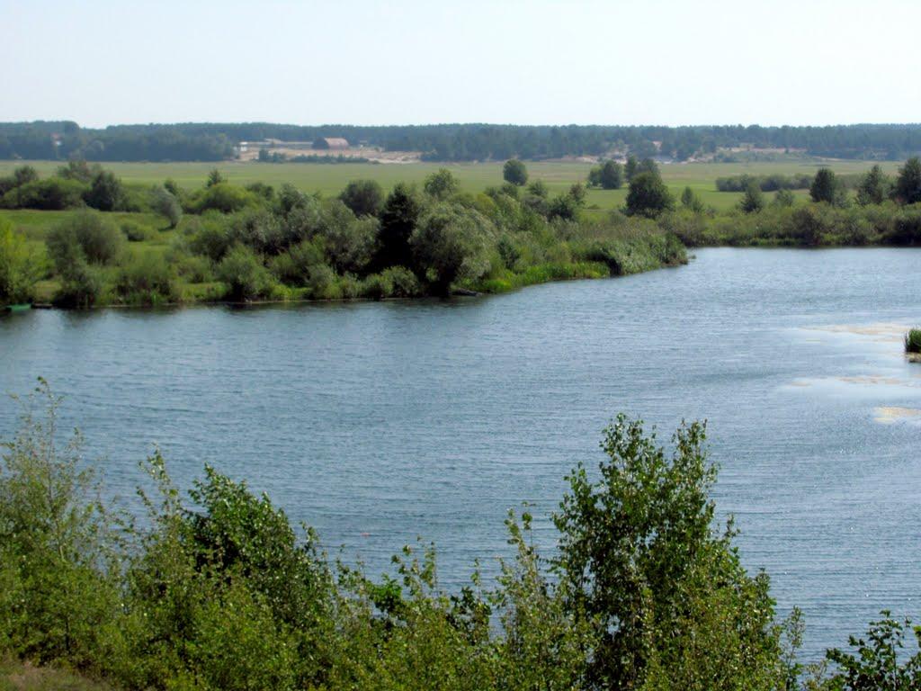 Нетреба з panoramio.com - Нетреба