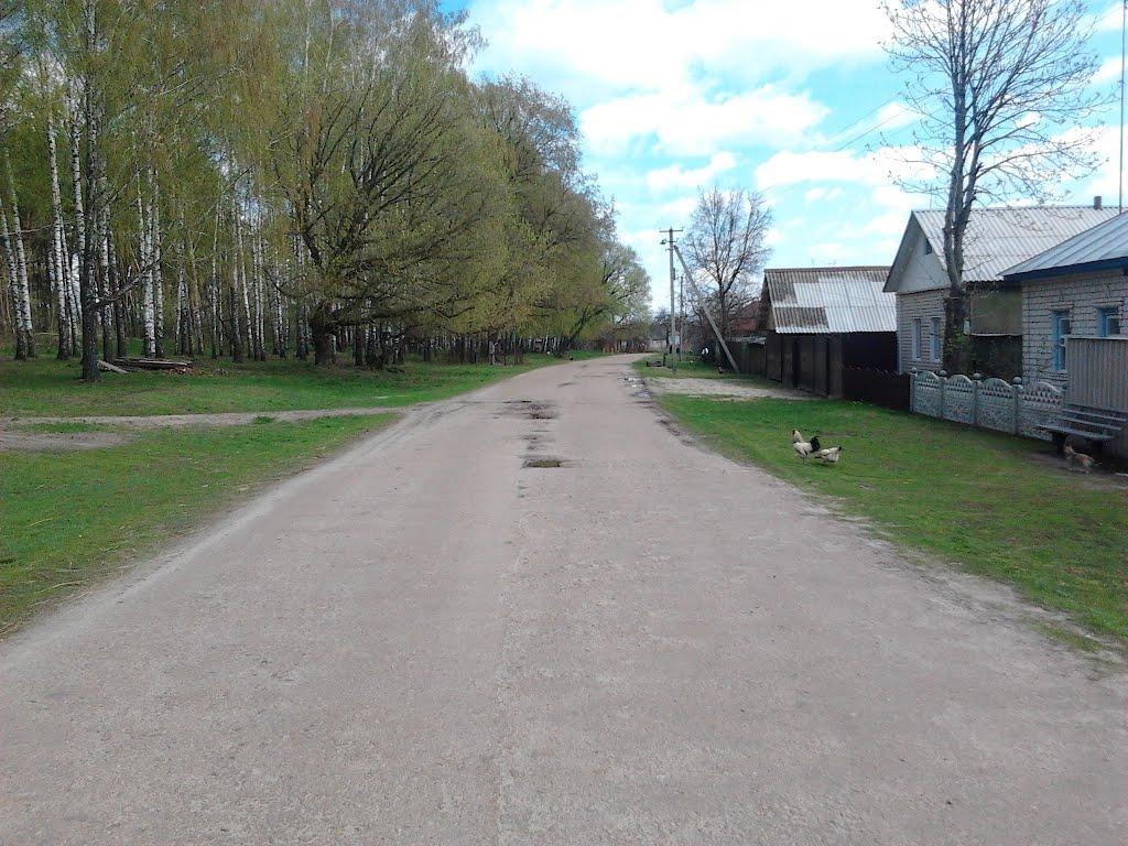 Тересва з panoramio.com - Тересва