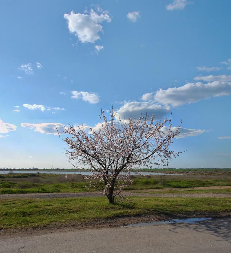 Заозерне з panoramio.com - Zaozerne