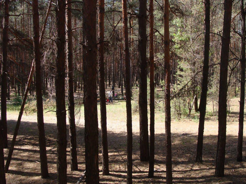 Ківшарівка з panoramio.com - Ківшарівка