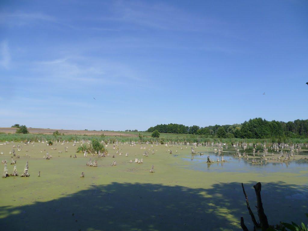 Устивиця з panoramio.com - Устивиця