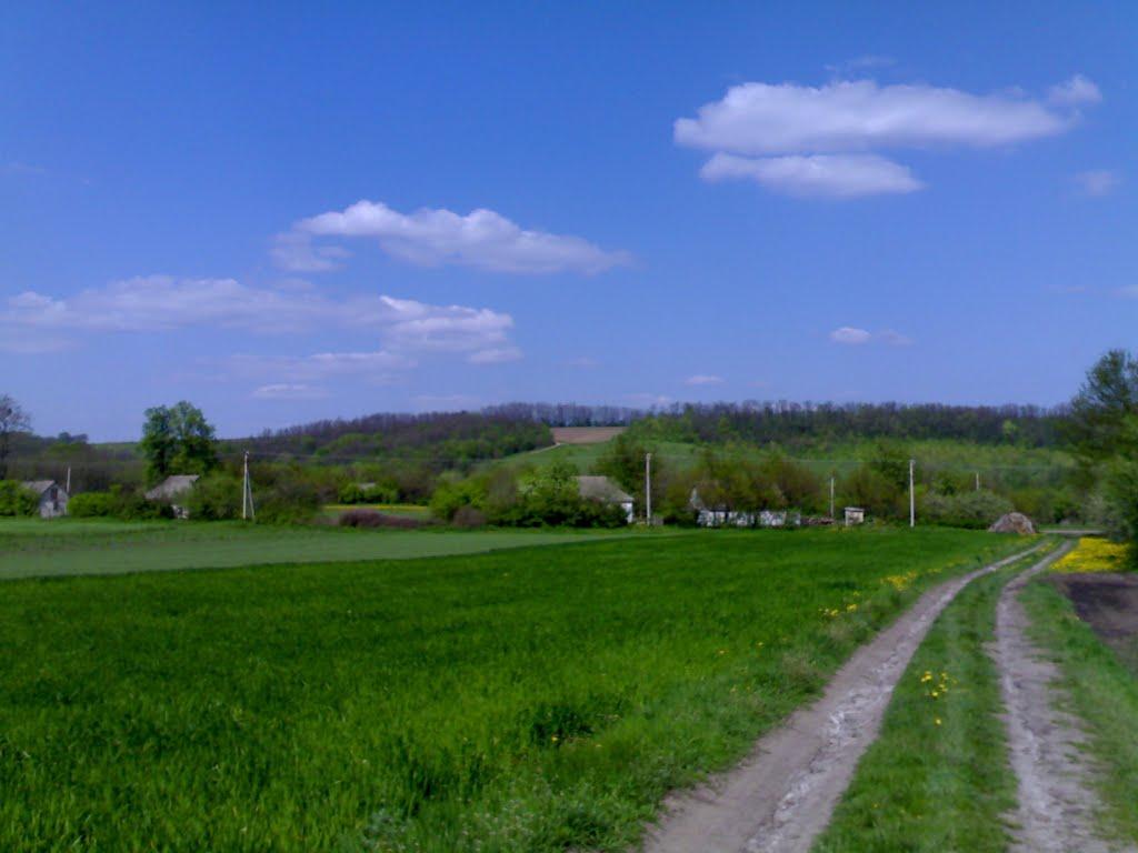 Трихуторівка з panoramio.com - Трихуторівка