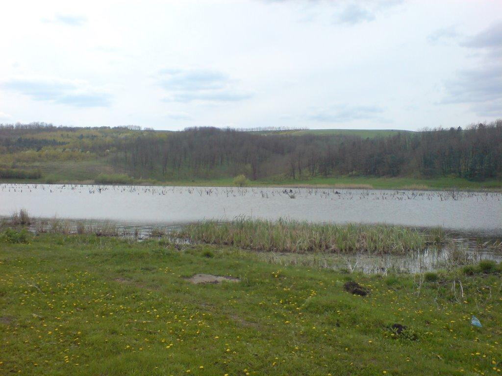 Гонората з panoramio.com - Гонората