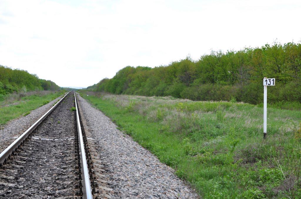 Петро-Миколаївка з panoramio.com - Петро-Николаевка