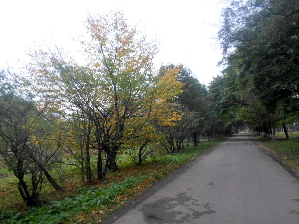 краєвид - Грабовець