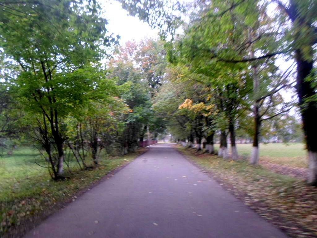 краєвид - Грабовець