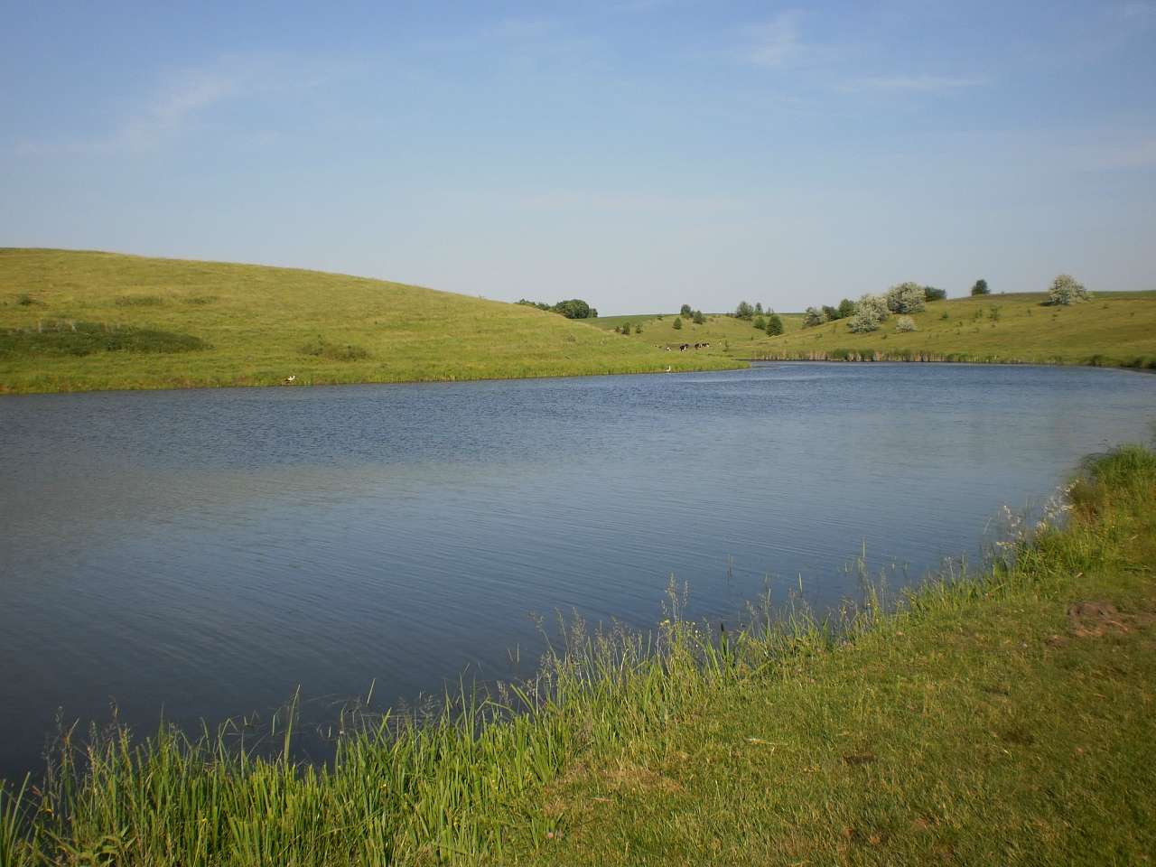 Мій рідний яцьківський край - Яцьки