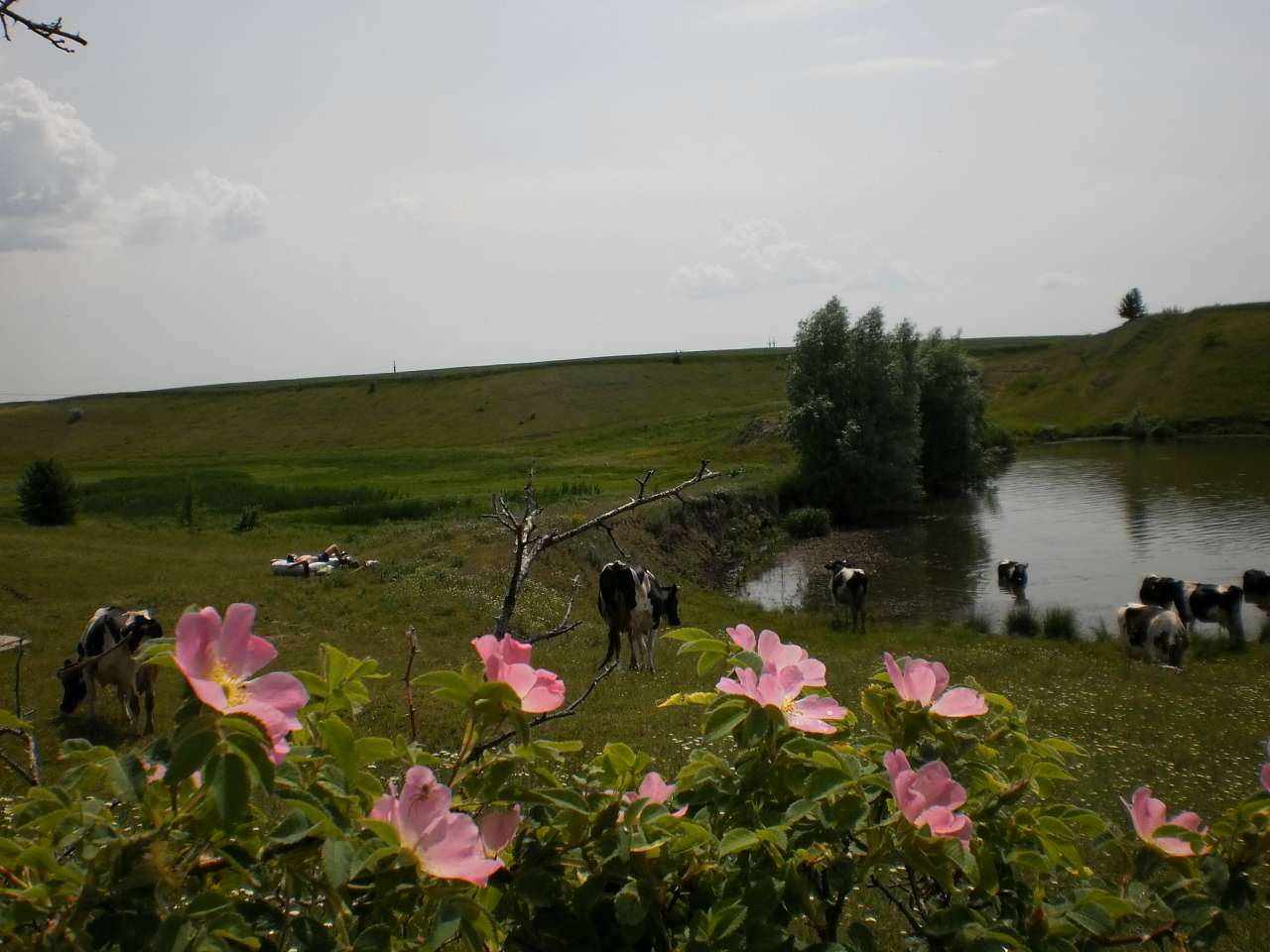 Мій рідний яцьківський край - Яцьки