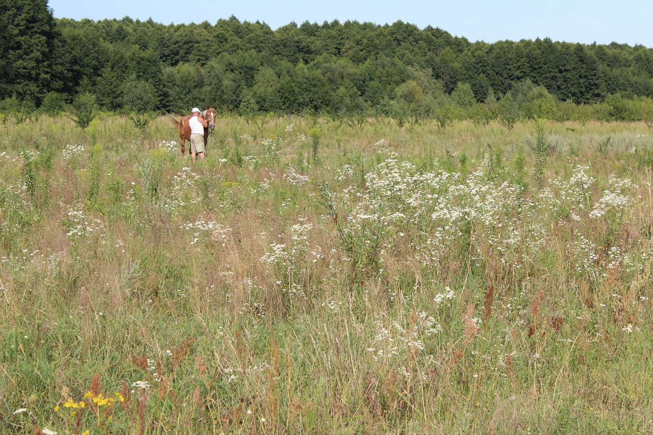 Наше село - Краска