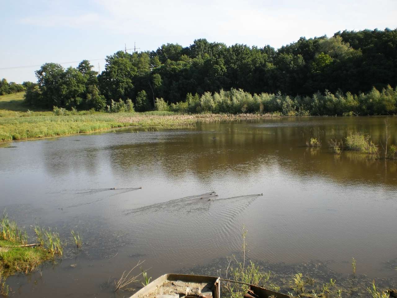 Мій рідний яцьківський край - Яцьки