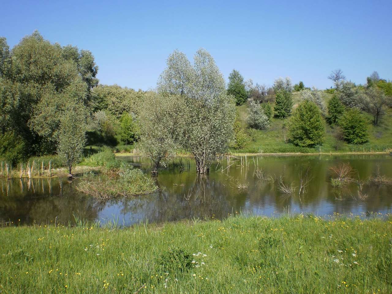 Мій рідний яцьківський край - Яцьки