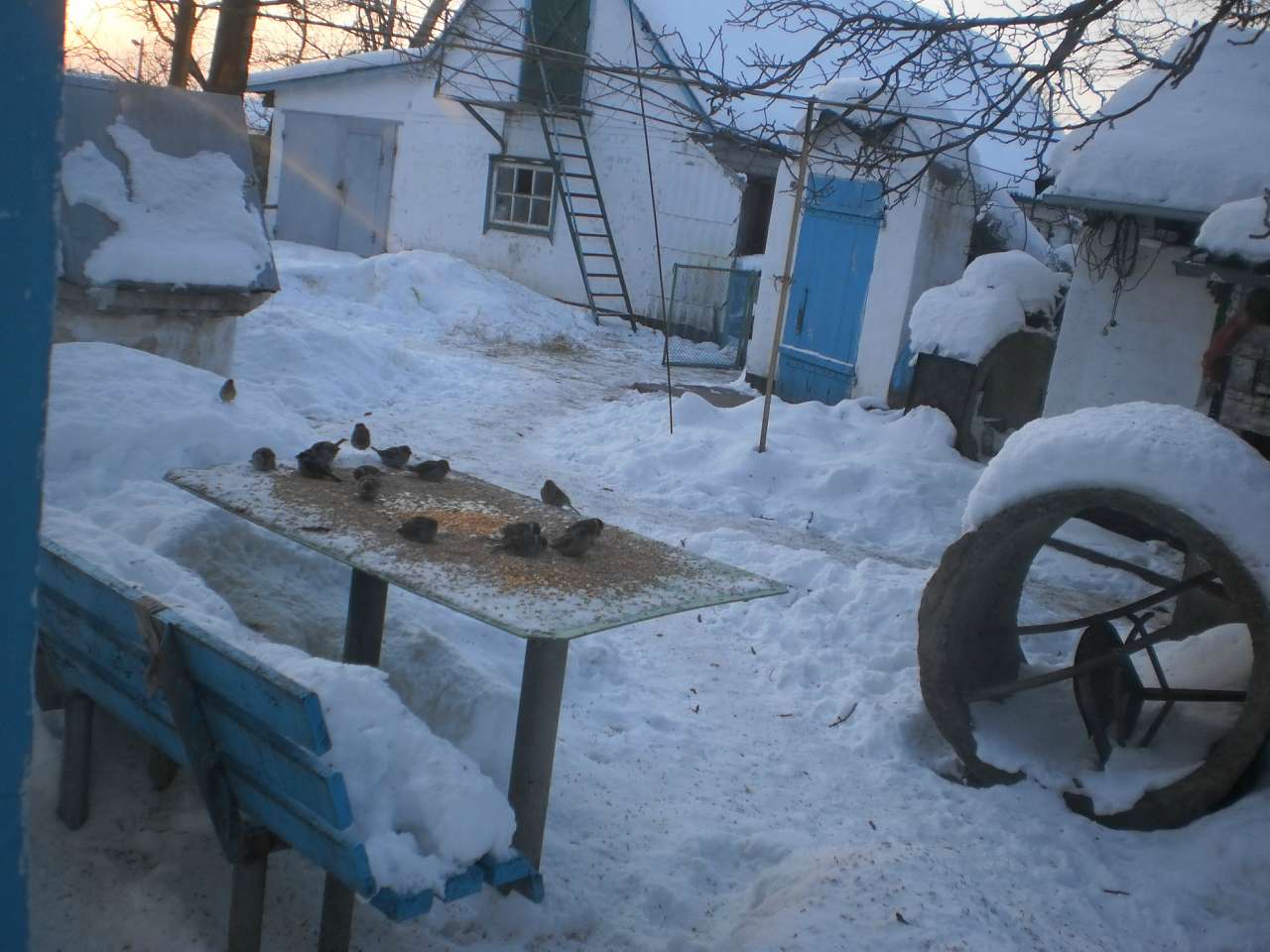 Мій рідний яцьківський край - Яцьки