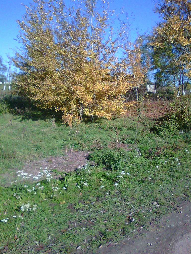 Задністряни та околиці - Задністряни