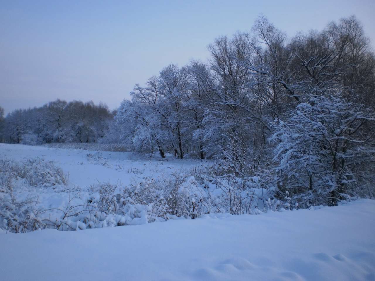 Мій рідний яцьківський край - Яцьки