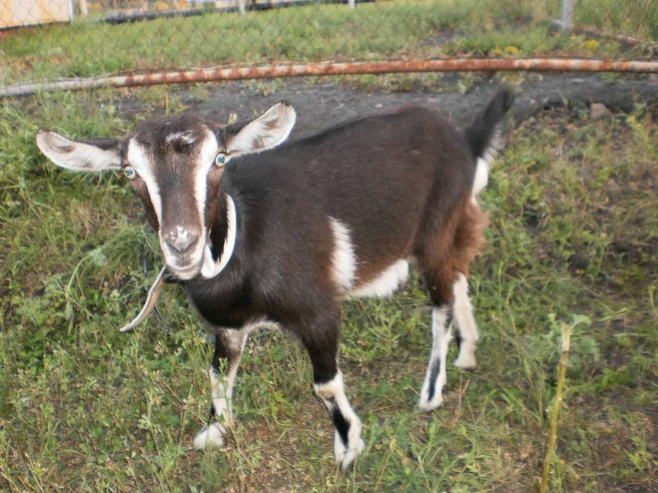 Мій рідний яцьківський край - Яцьки