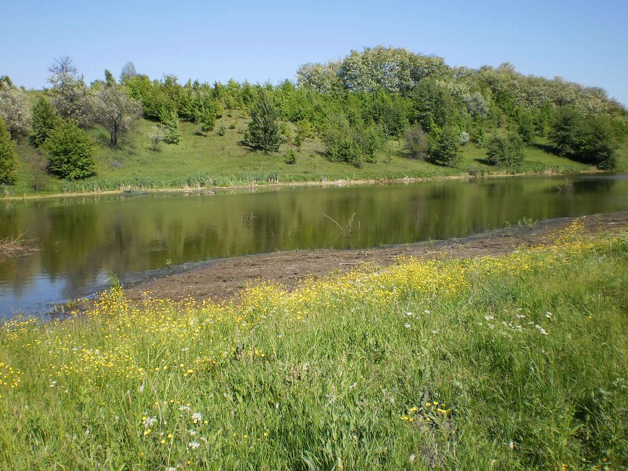 Мій рідний яцьківський край - Яцьки