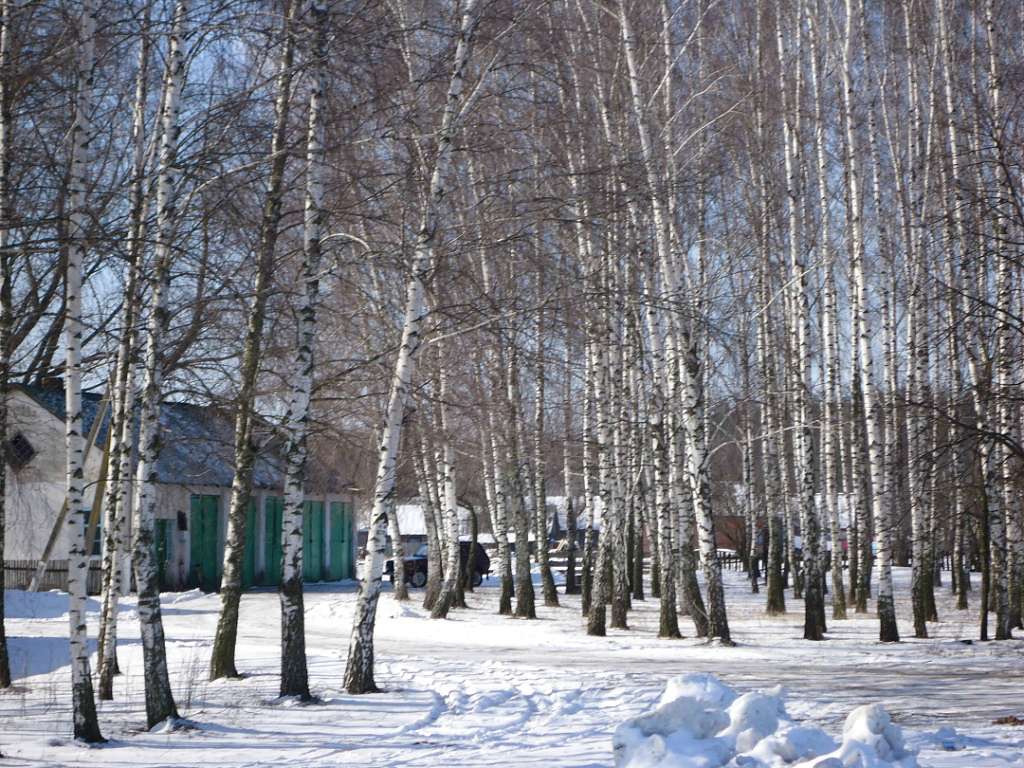 Природа і сільське життя - Ховми