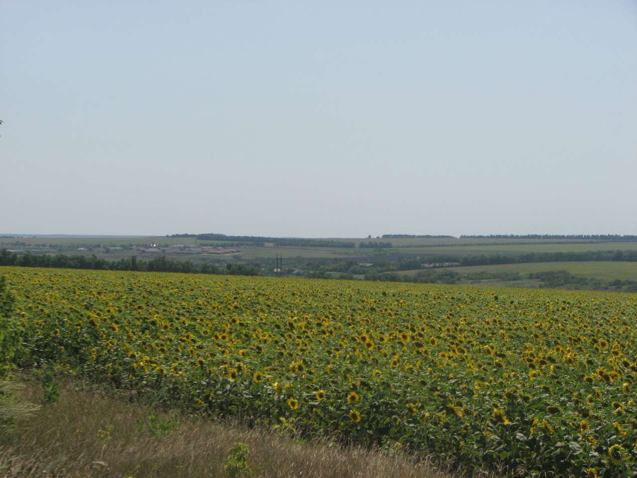 Кам'яний Брід з panoramio.com - Кам'яний Брід