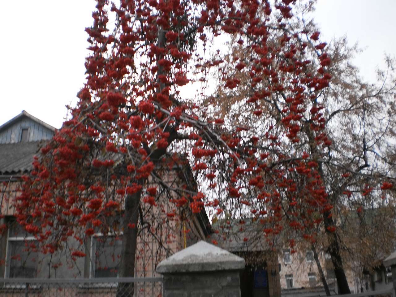 Мій рідний яцьківський край - Яцьки