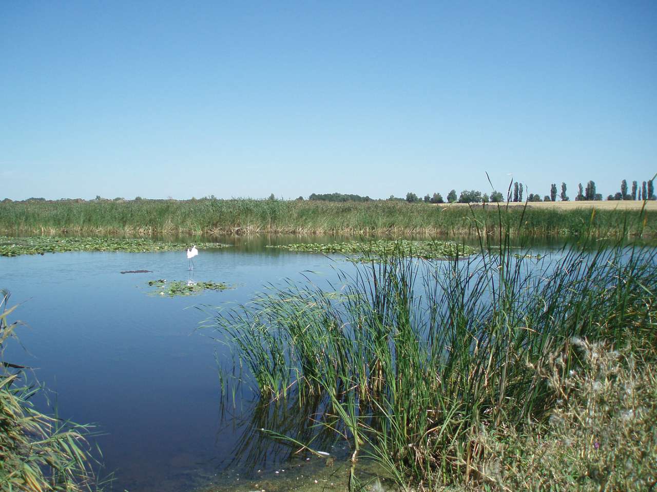 довкілля - Харківці