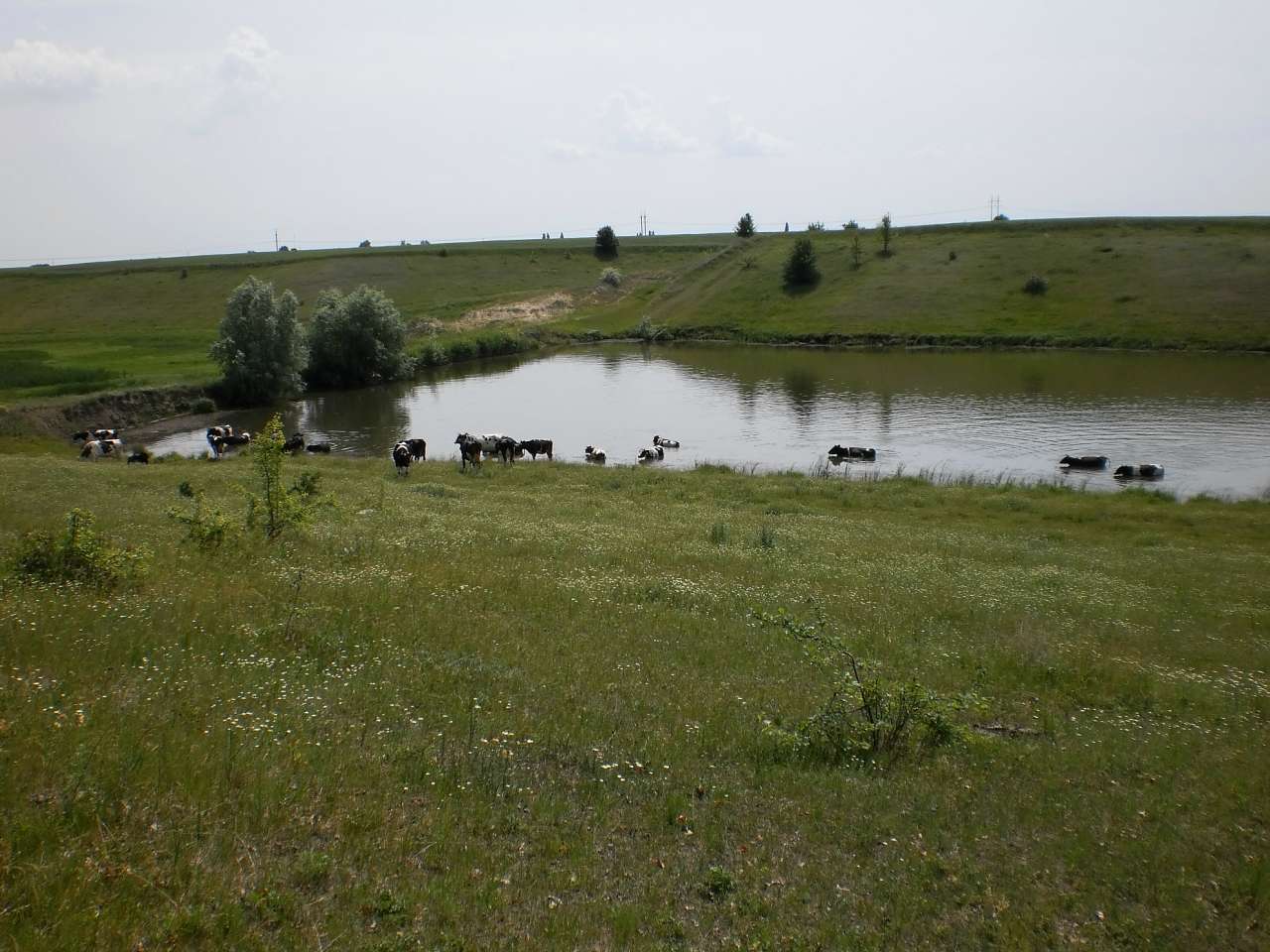 Мій рідний яцьківський край - Jatsky