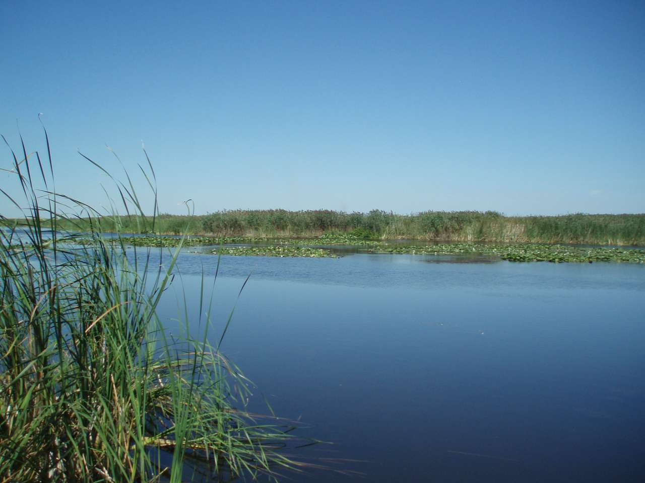 довкілля - Харківці