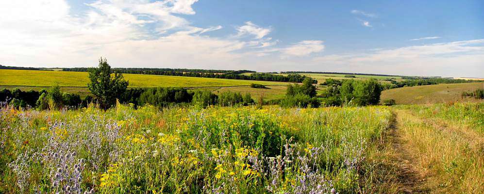 своє - Володарівка