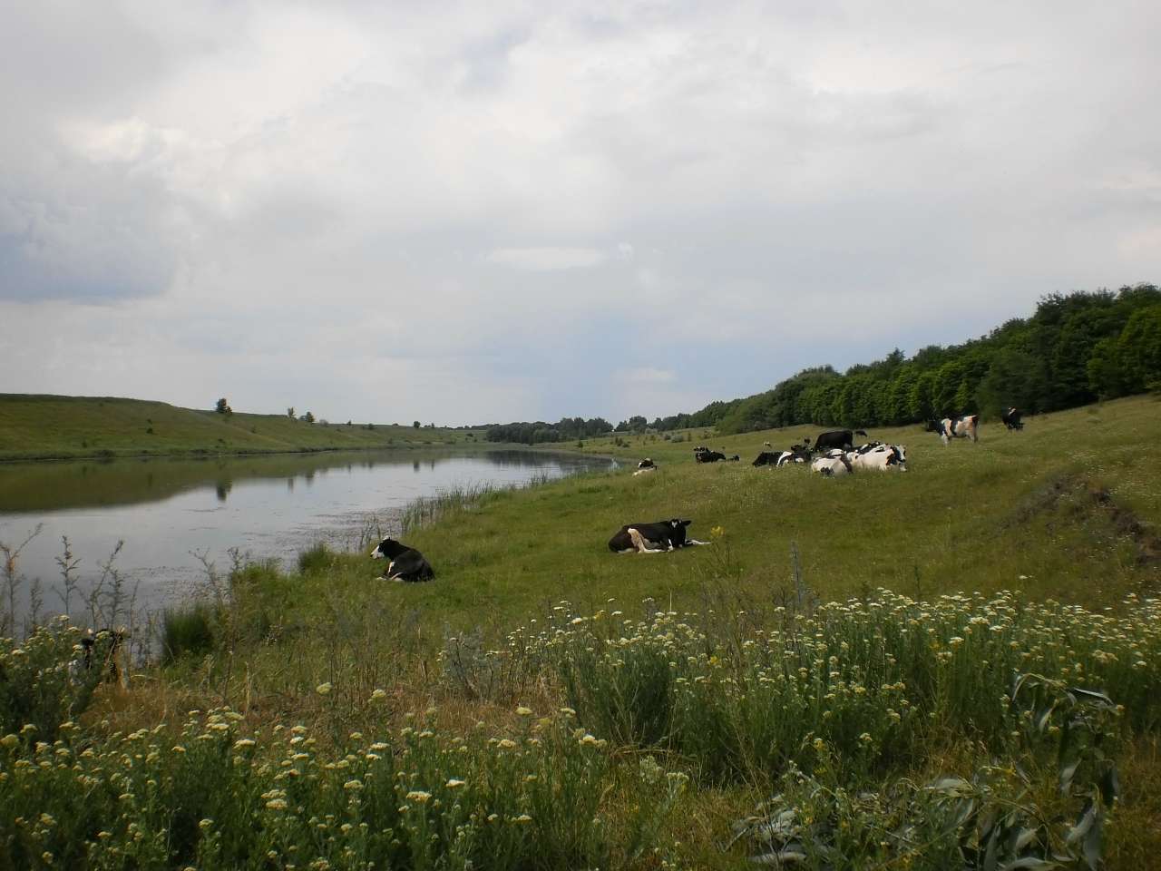 Мій рідний яцьківський край - Яцьки