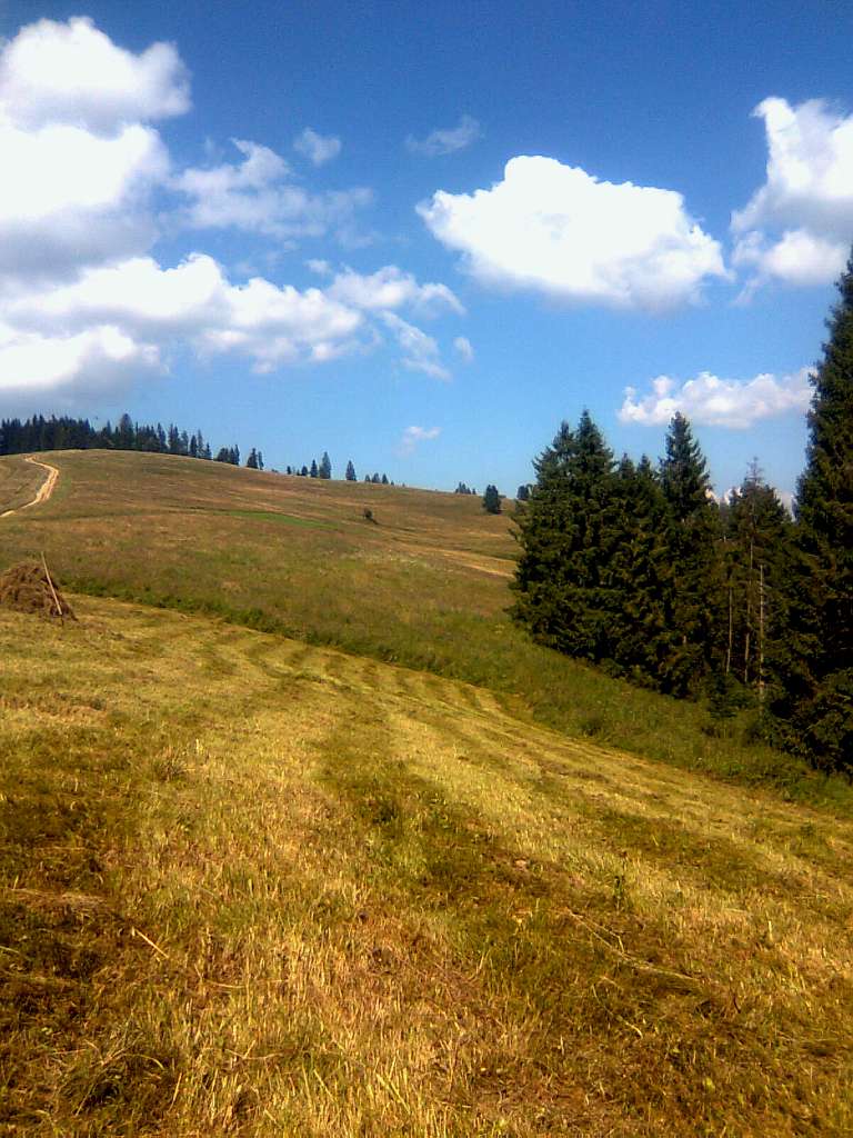 Подобовець - Подобовець