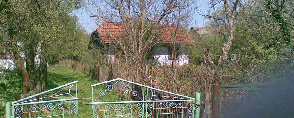 Паланики - Паланики