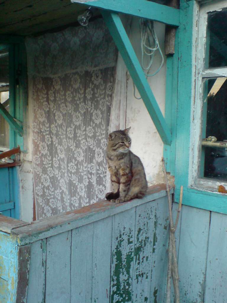 Яструбине - золоте село - Яструбине