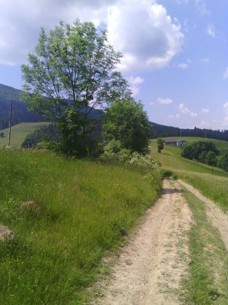 Подобовець - Подобовець