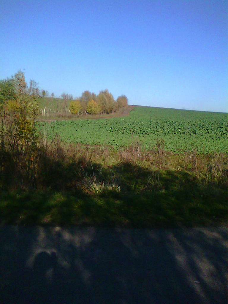 Декілька фото з Погорець - Погірці