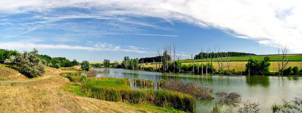 своє - Володарівка