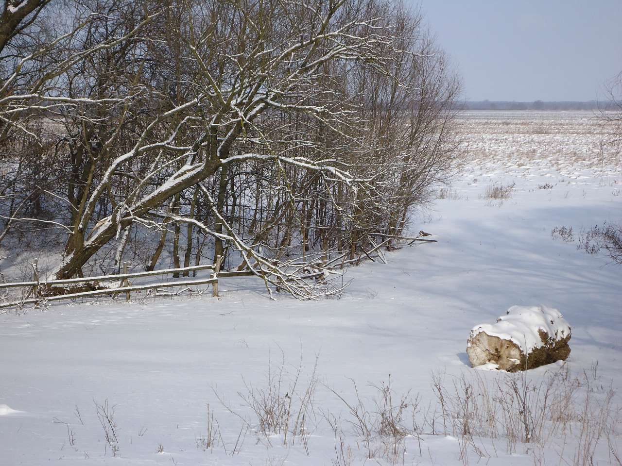 Природа і сільське життя - Ховми