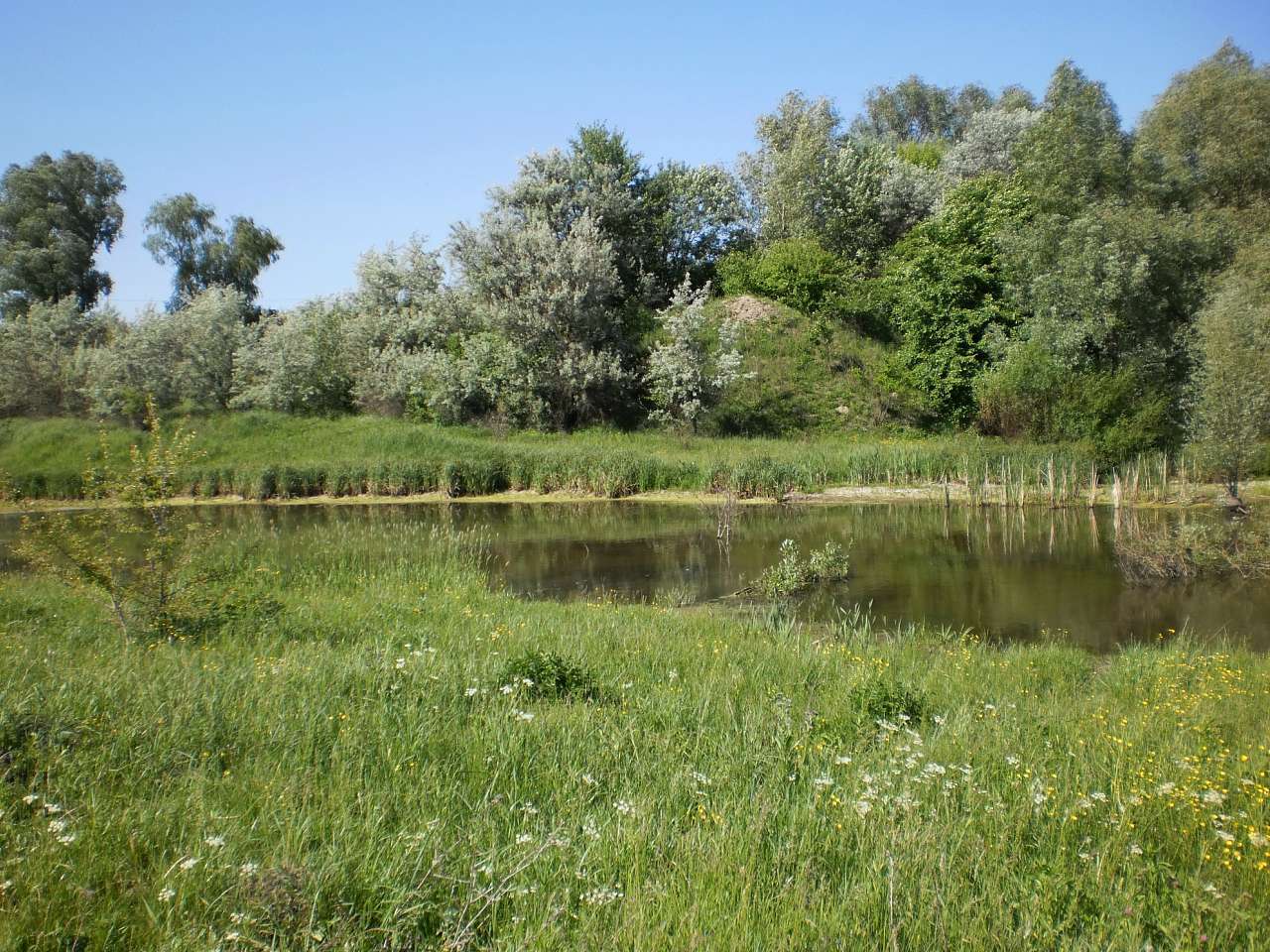 Мій рідний яцьківський край - Яцьки