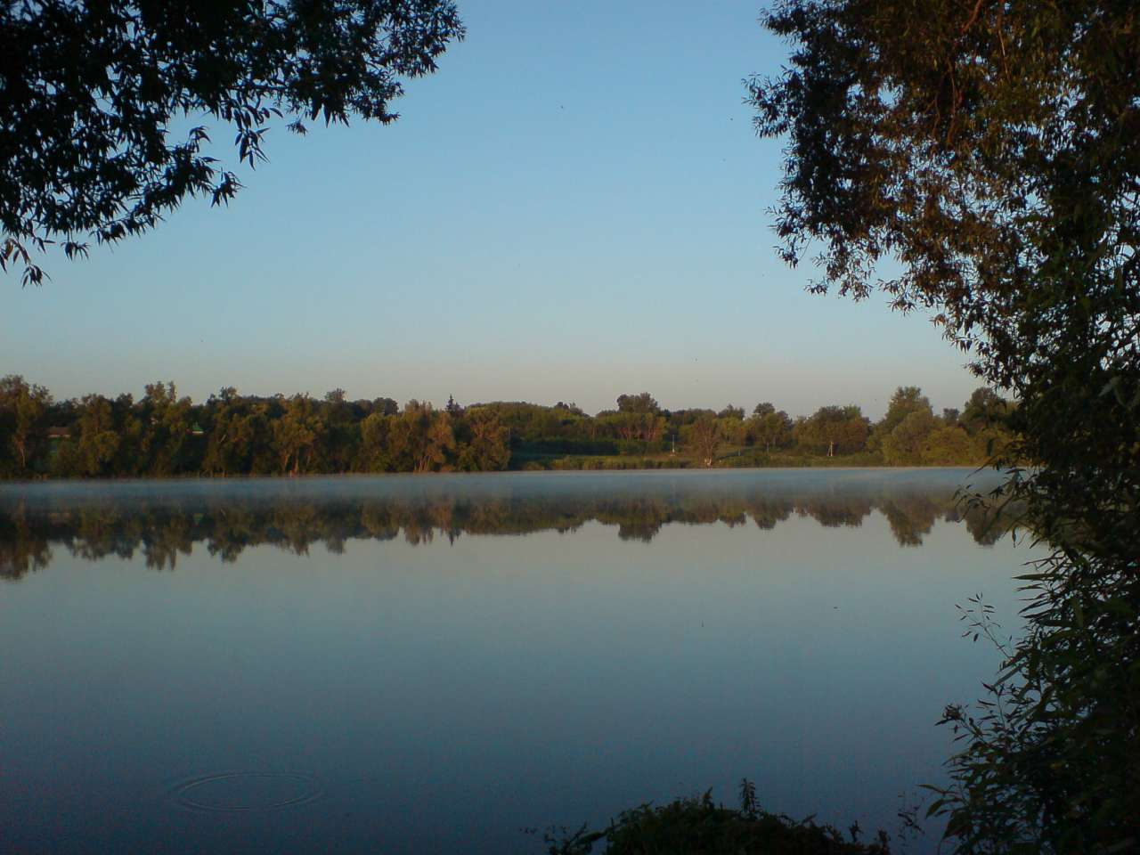 Яструбине - золоте село - Яструбине