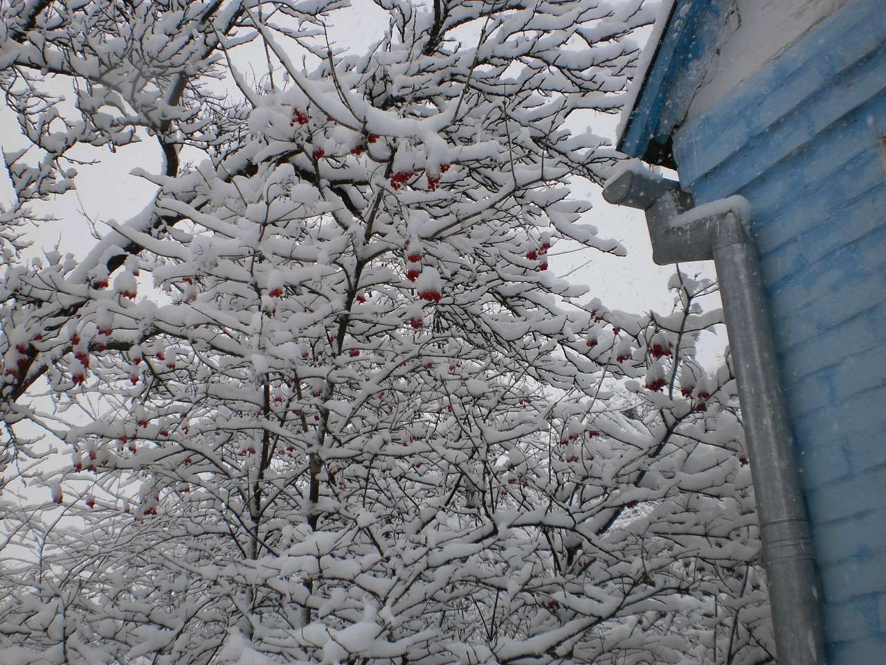 Мій рідний яцьківський край - Яцьки