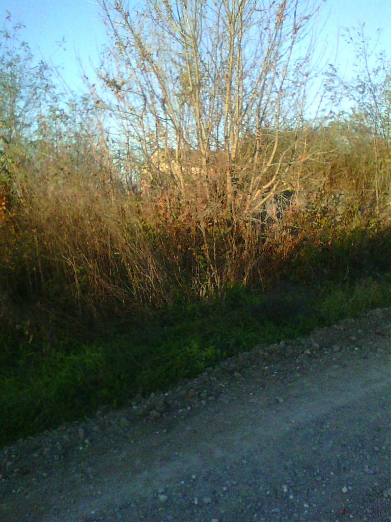 Старий колгосп - Березець