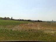 Осикове - Останні фото