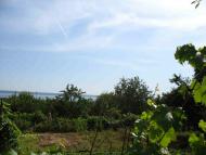 Плавні з panoramio.com