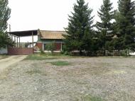 Осикове з panoramio.com