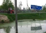 Верба з panoramio.com